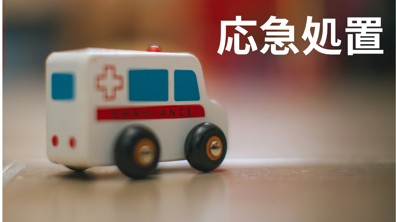応急処置